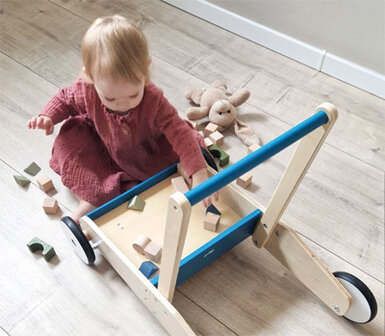 Baby Loopwagen Trolley - Blauw