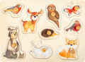 Bos dieren noppenpuzzel - hout Bos dieren noppenpuzzel - hout