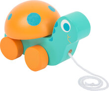 Trekfiguur dieren Schildpad